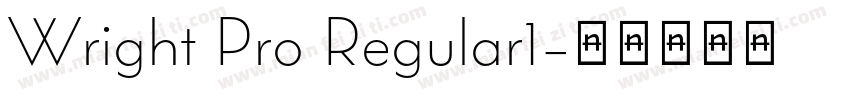 Wright Pro Regular1字体转换